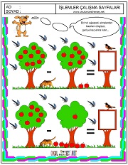 Ağaşlardaki elmaların toplamı kaç eder